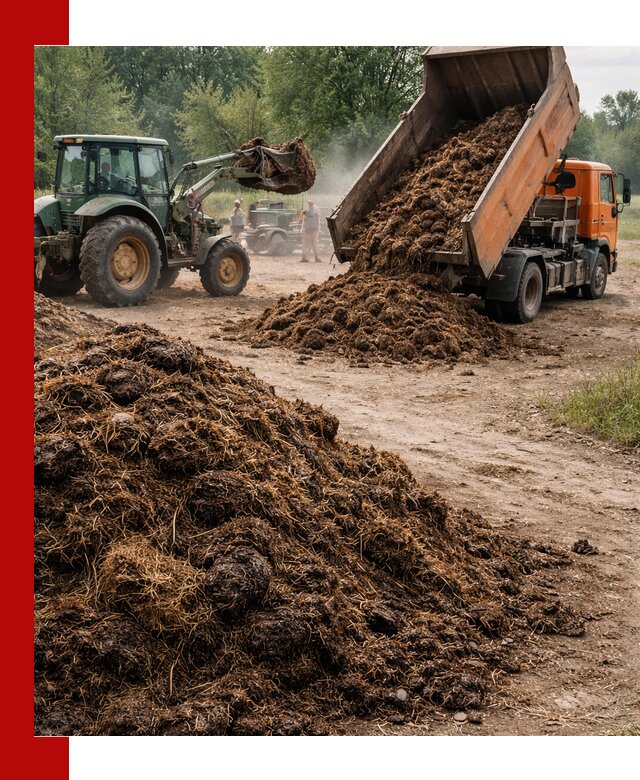 Доставка навоза самосвалами в Горном-Алтайске для сельхозпотребностей