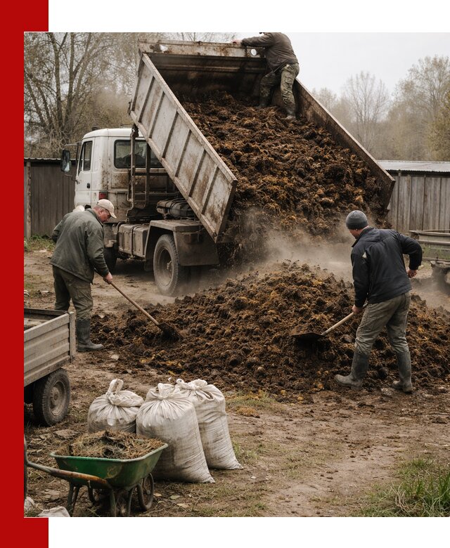 Доставка коровьего навоза самосвалом в Горном-Алтайске